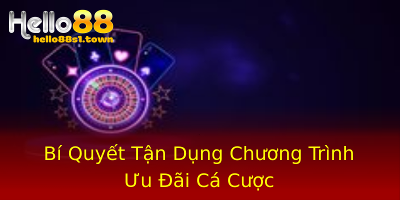 Bí Quyết Tận Dụng Chương Trình Ưu Đãi Cá Cược Bí Quyết Tận Dụng Chương Trình Ưu Đãi Cá Cược