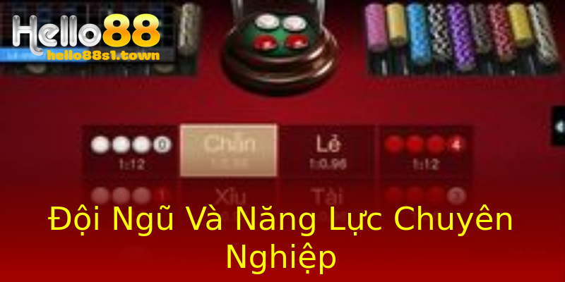 Đội Ngũ Và Năng Lực Chuyên Nghiệp Đội Ngũ Và Năng Lực Chuyên Nghiệp